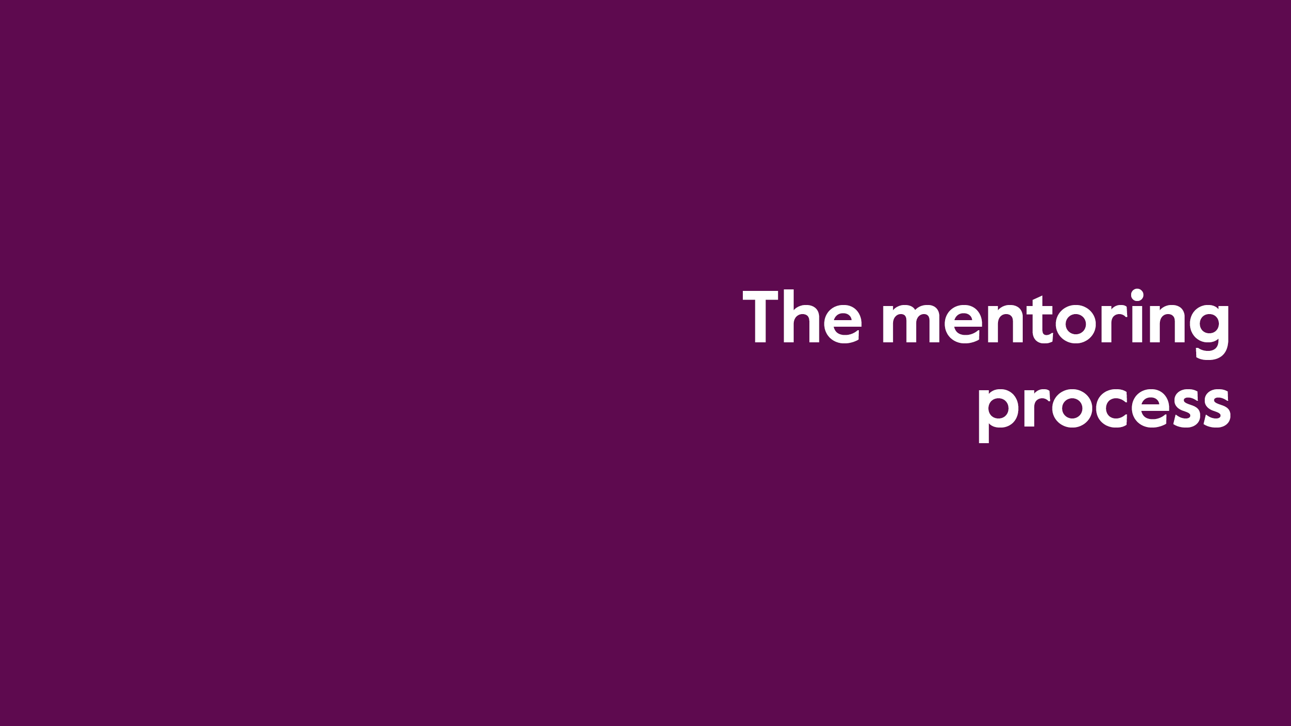 The mentoring process