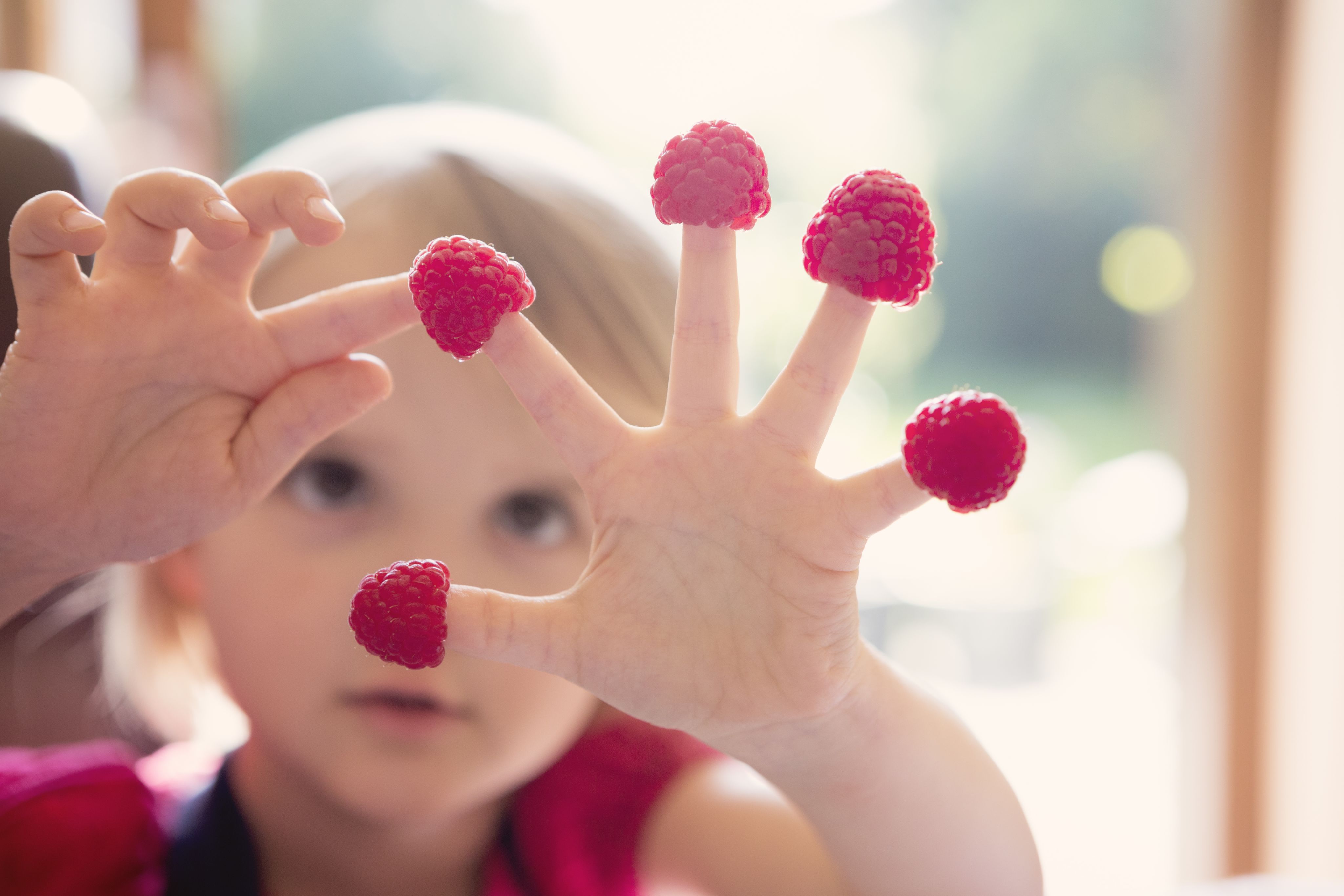 Child counting raspberries covering her fingertips