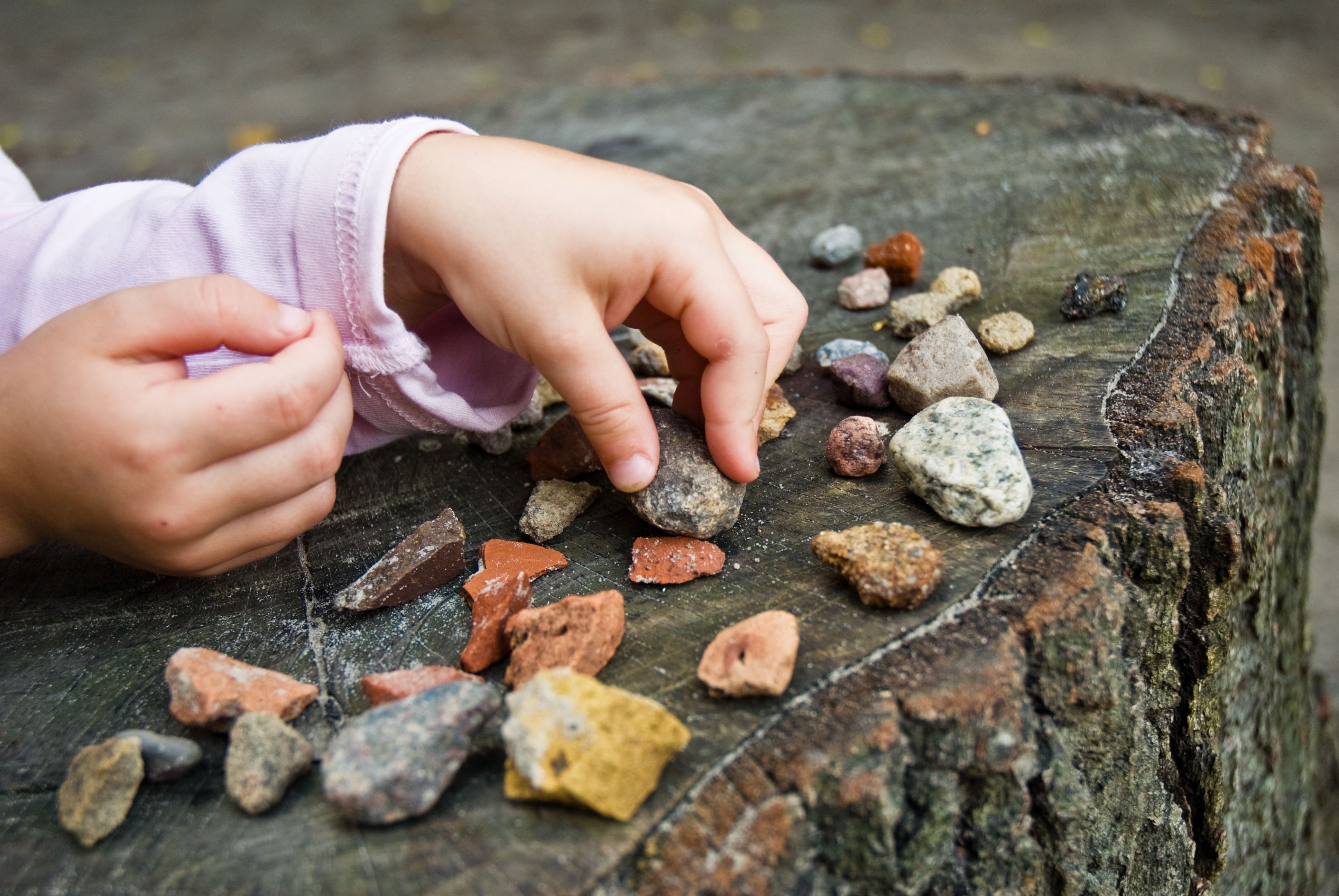Child's hand touching collection of stones placed on a wooden log