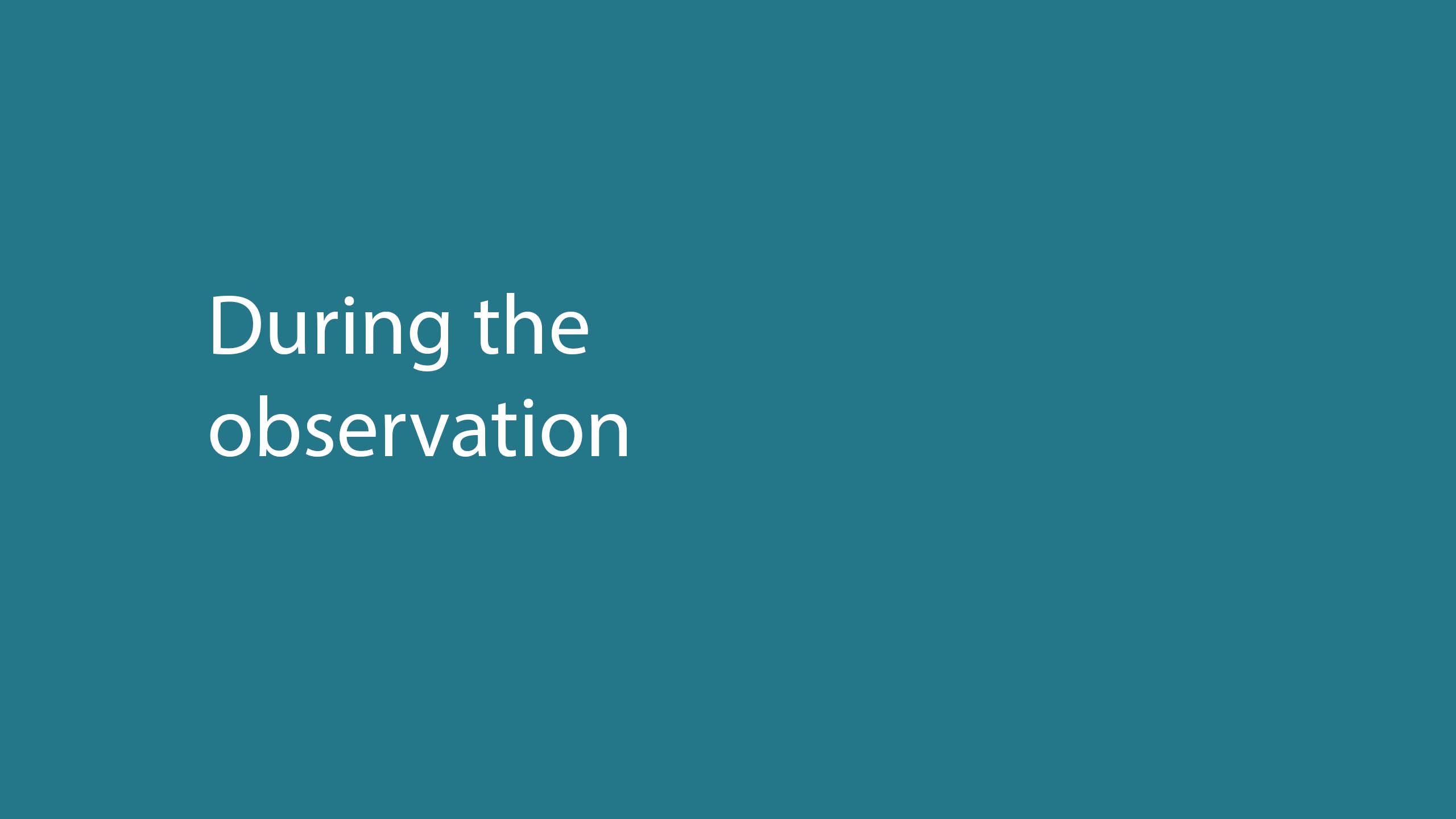 During the observation