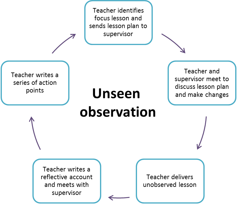 Diagram of unseen observation model